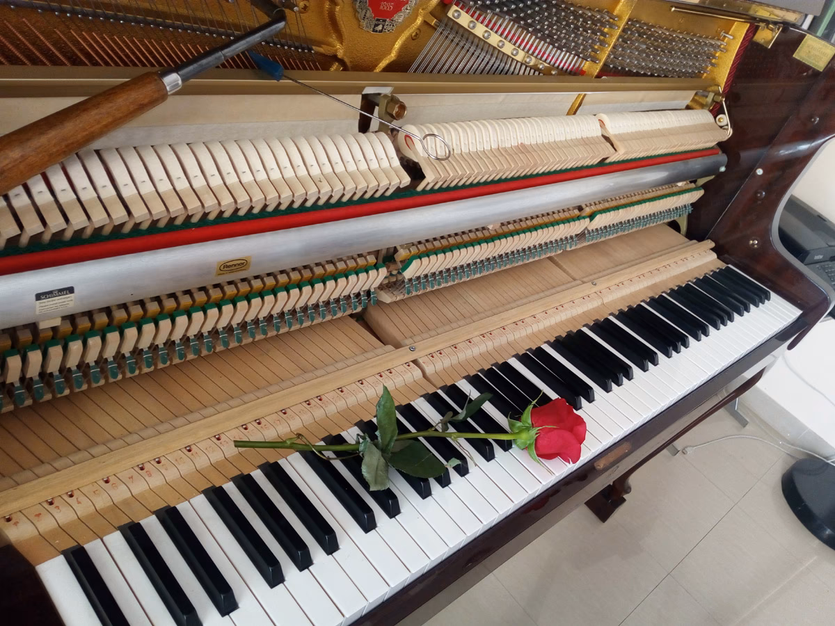 ¿Cuánto cuesta afinar un piano en Uruguay?