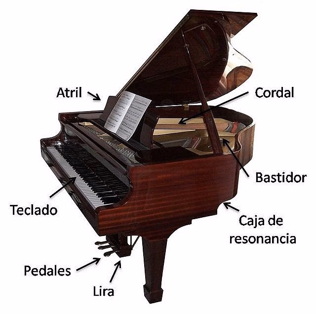 ¿Qué es un cordal en un piano?