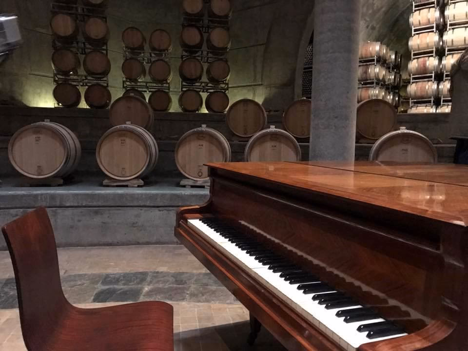 ¿Qué bodegas no dejar de visitar en Mendoza?