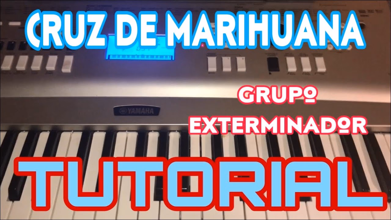 ¿Qué música se le pone a las plantas de marihuana?