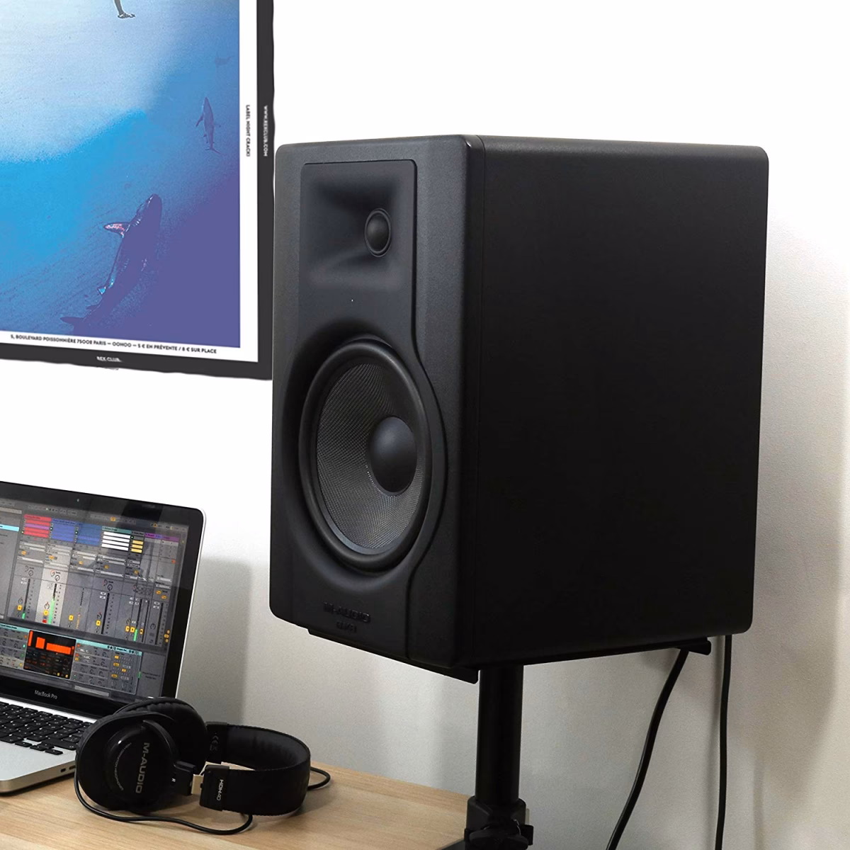 ¿Cómo se llaman los monitores de escenario?