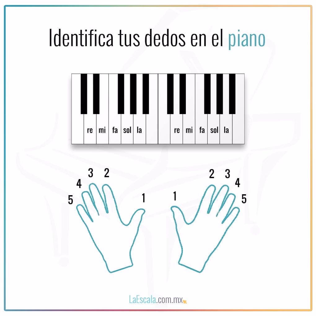 ¿Cuál es el orden para aprender a tocar piano?