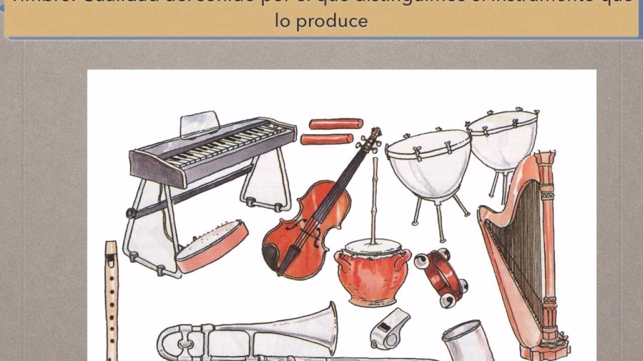 ¿Cuáles son las cualidades del sonido?