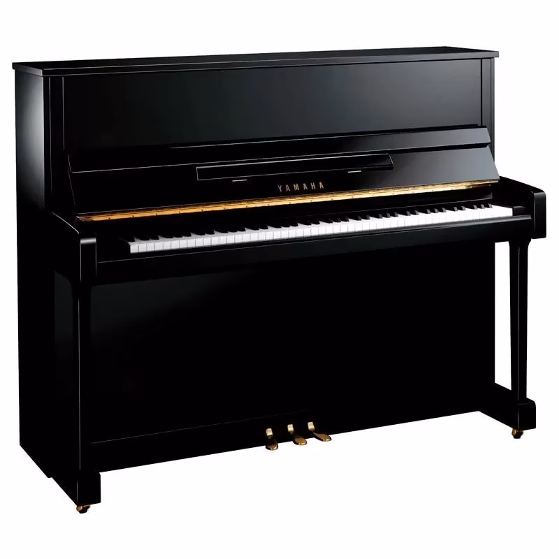 ¿Quién es el famoso hombre negro que toca el piano?
