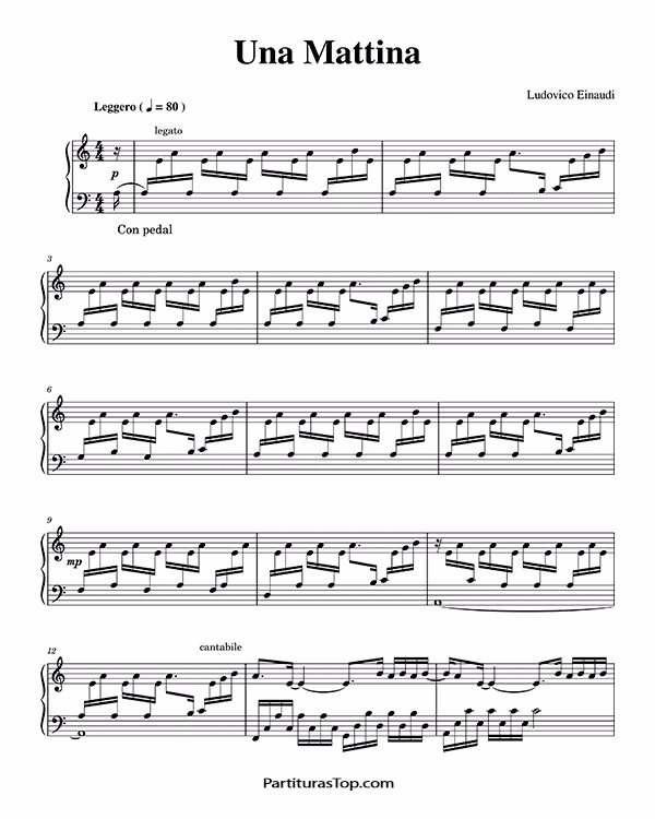 What piano does Ludovico Einaudi use?