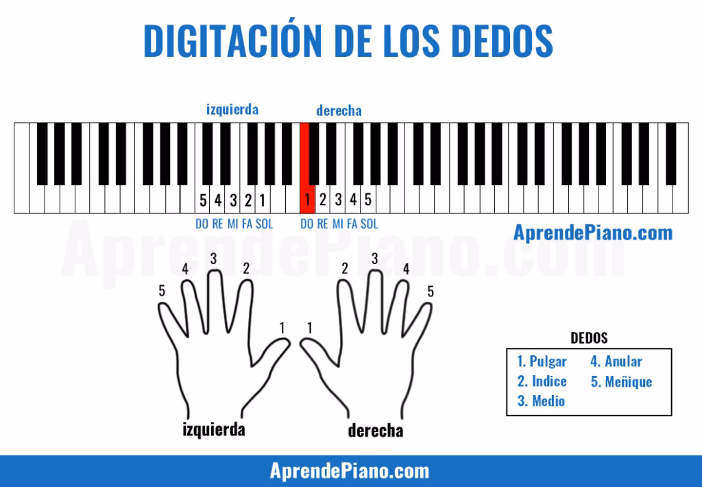 ¿Cuáles son las 5 notas básicas del piano?