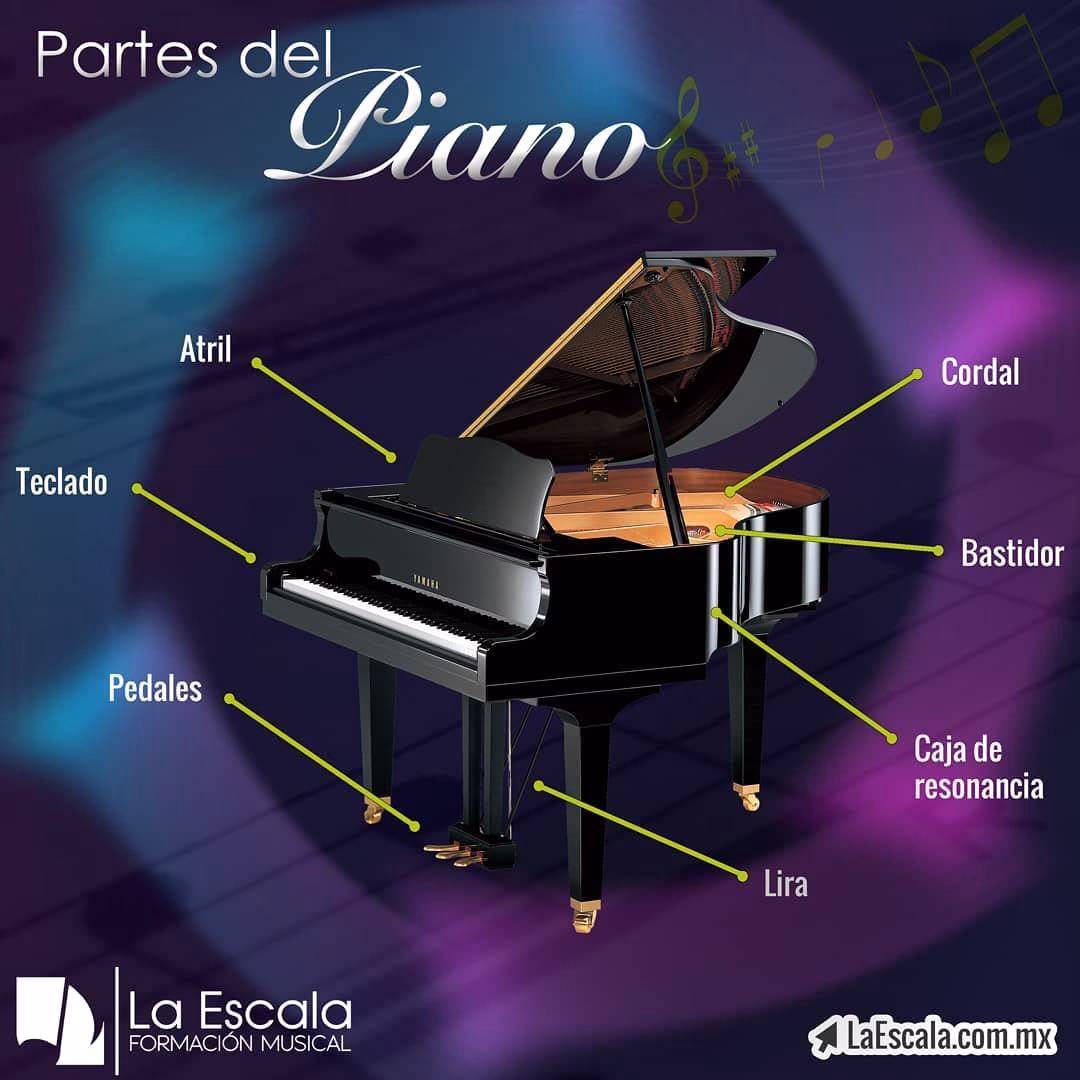 ¿Cuáles son las partes básicas de un piano?