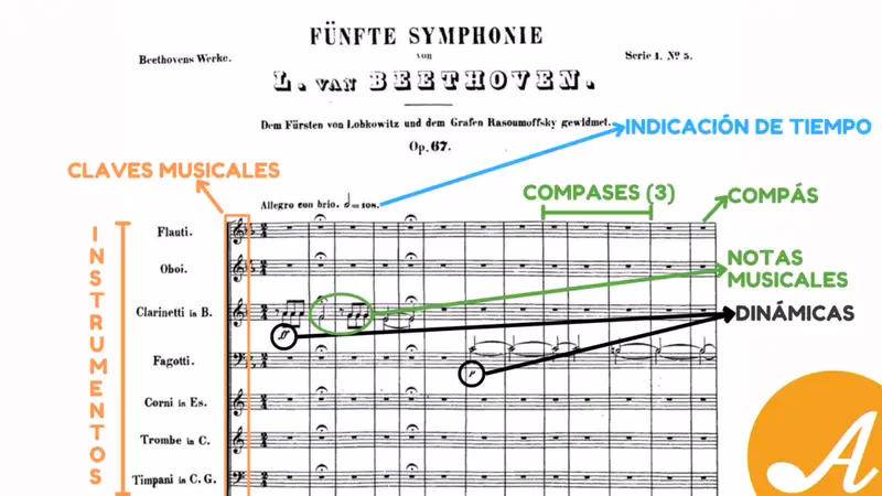 ¿Cómo está compuesta la partitura?