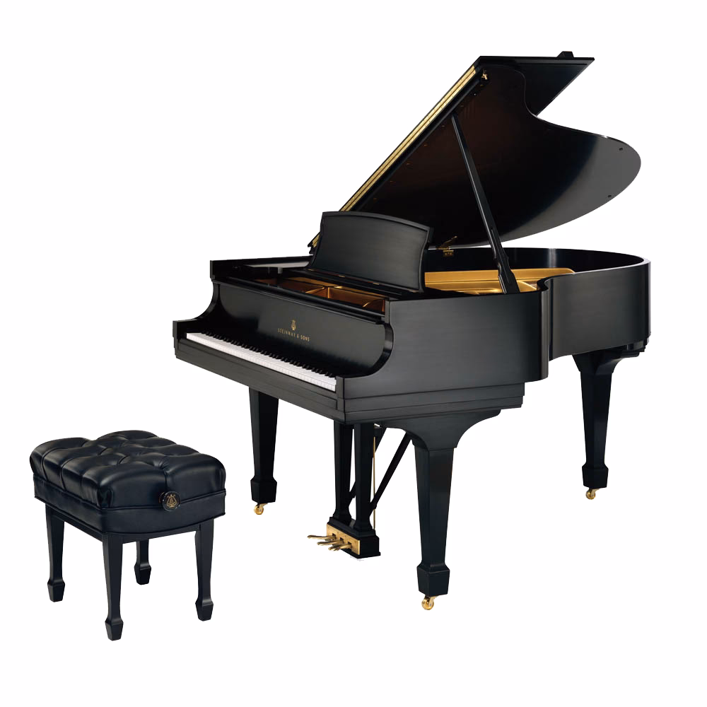 ¿Cuál es el origen de los pianos Burmeister?
