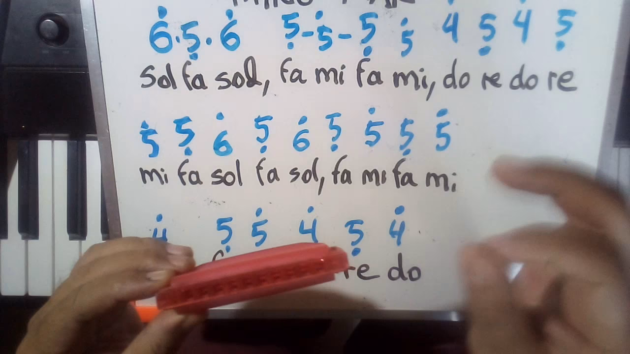 ¿Cuántos agujeros necesita la armónica para tocar el piano, señor?